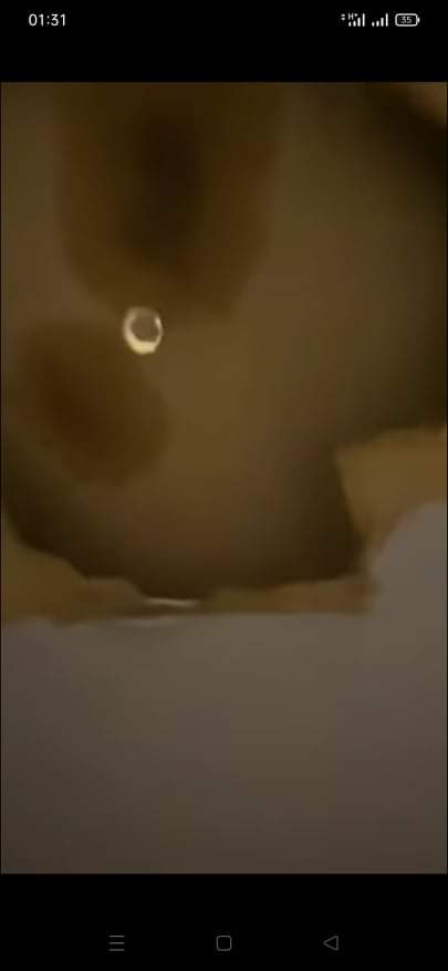 received_239378511587271