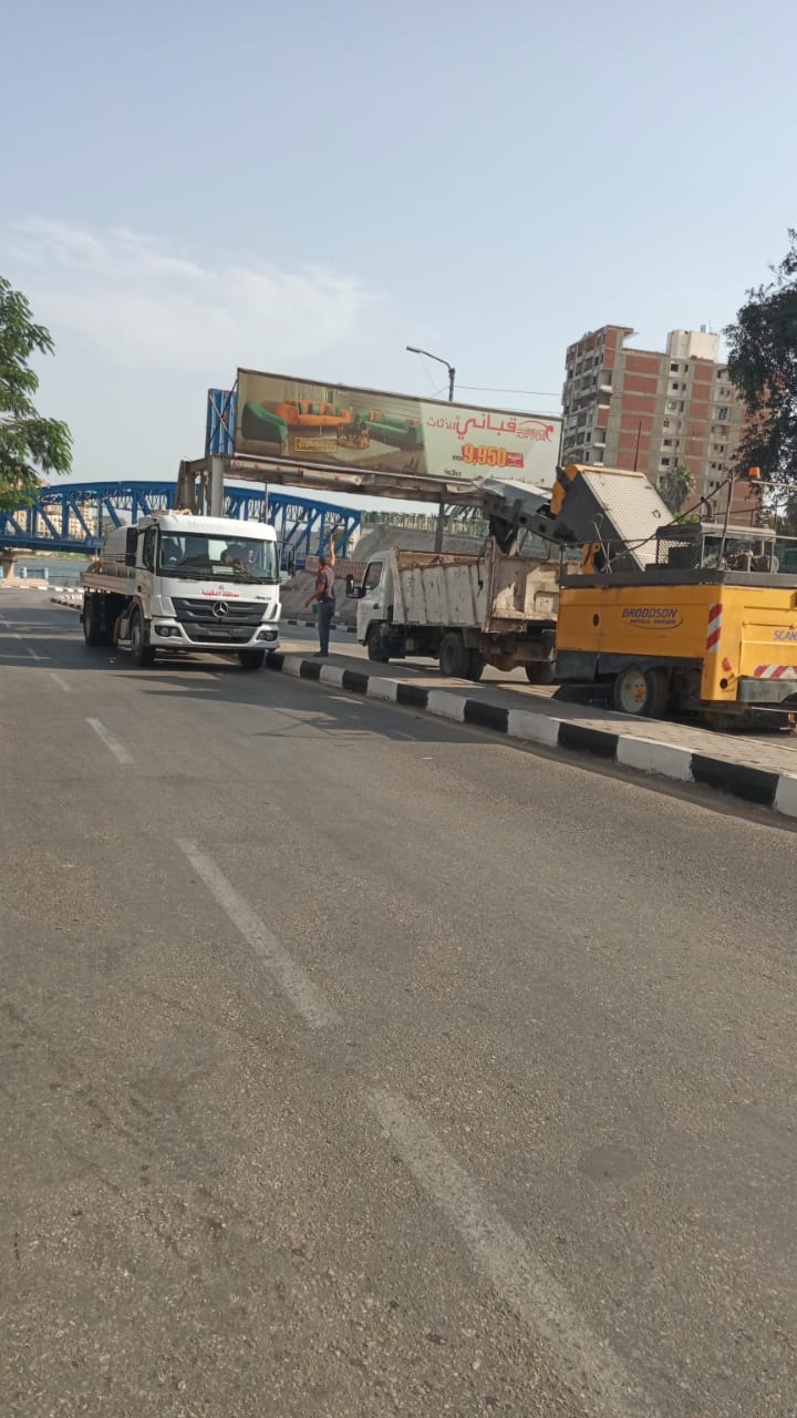 حملات نظافة بالدقهلية