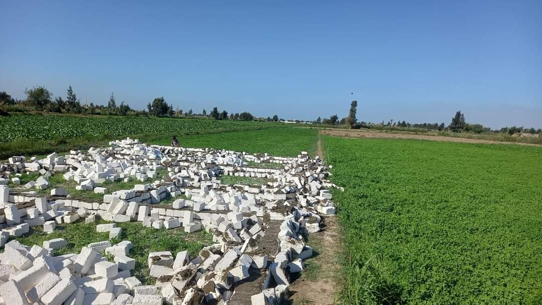 جانب من حملة الإزالة