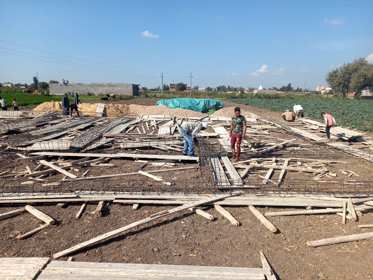 جانب من حملة الإزالة