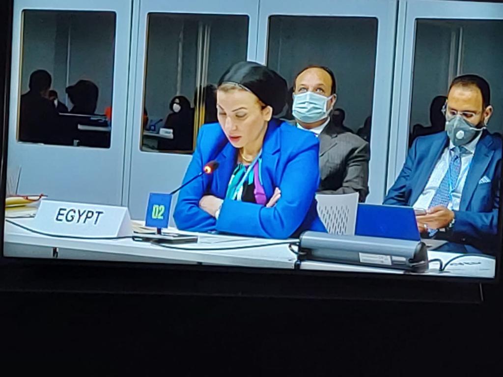 خلال المشاركة في حوار تمويل المناخ 