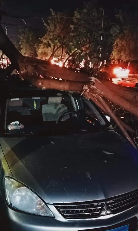 FB_IMG_1636788476076