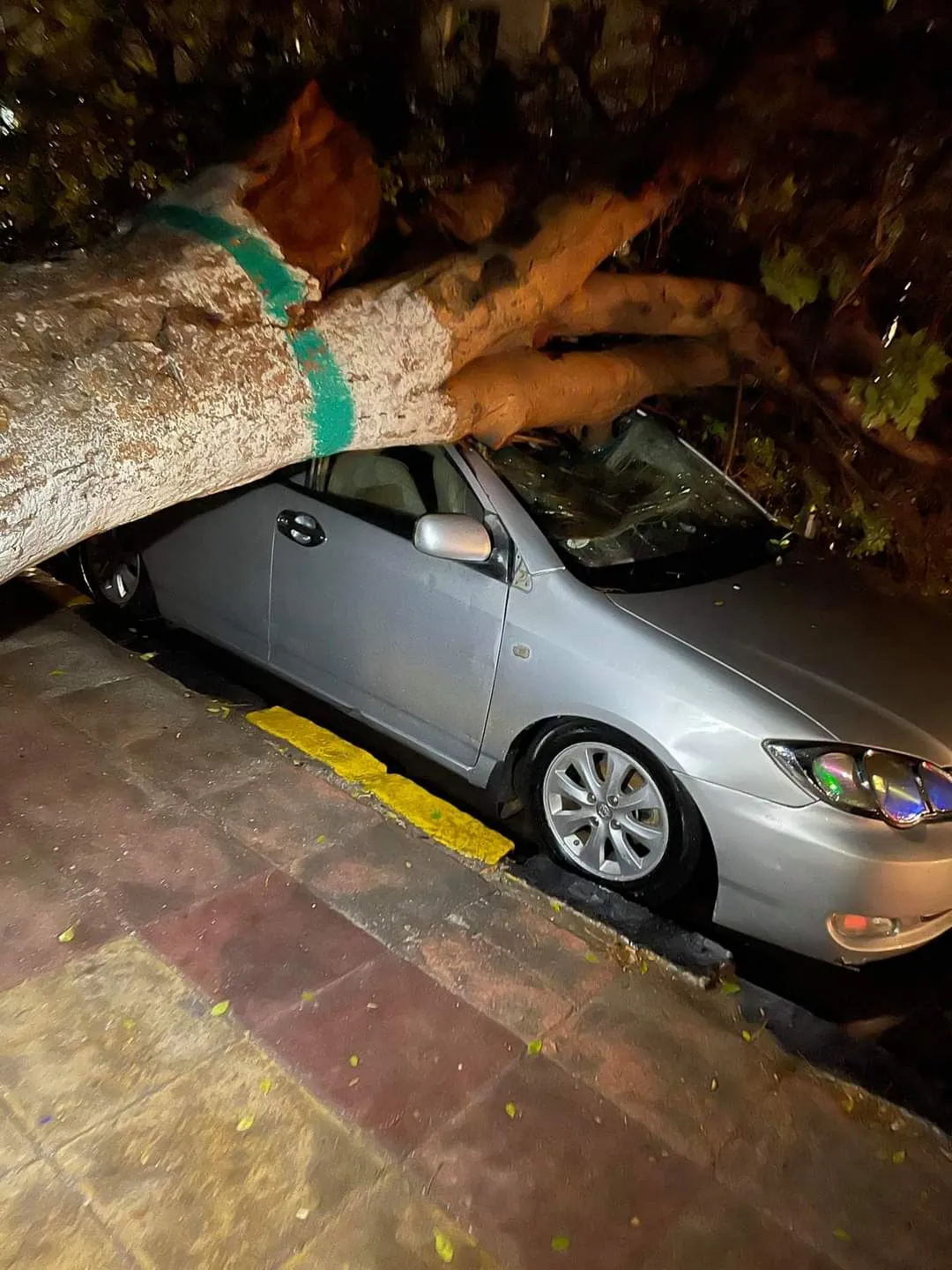 FB_IMG_1636788484193