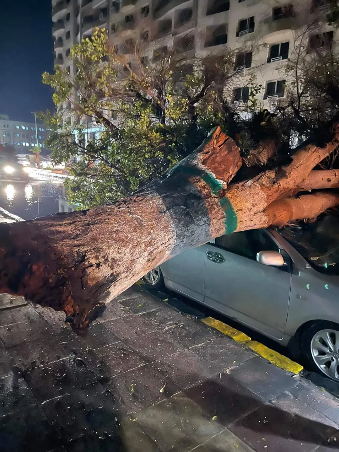 FB_IMG_1636788493424