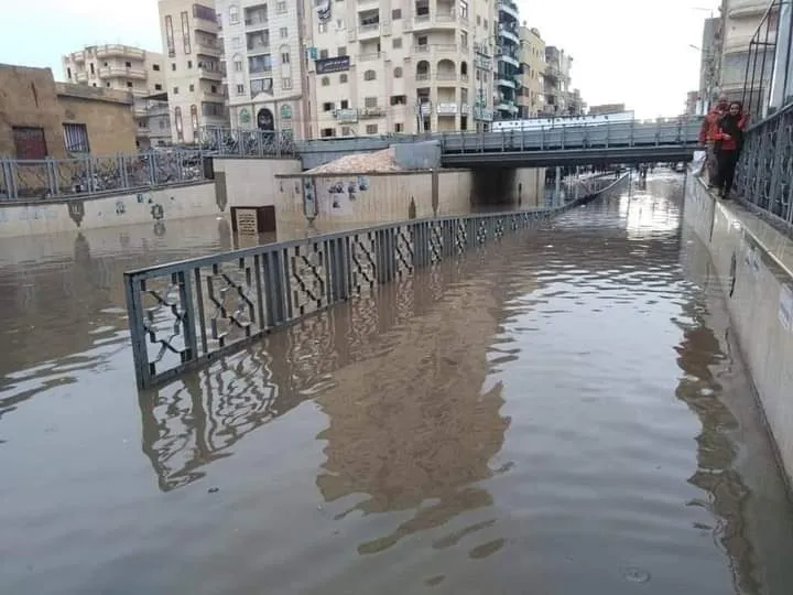 FB_IMG_1637417604446