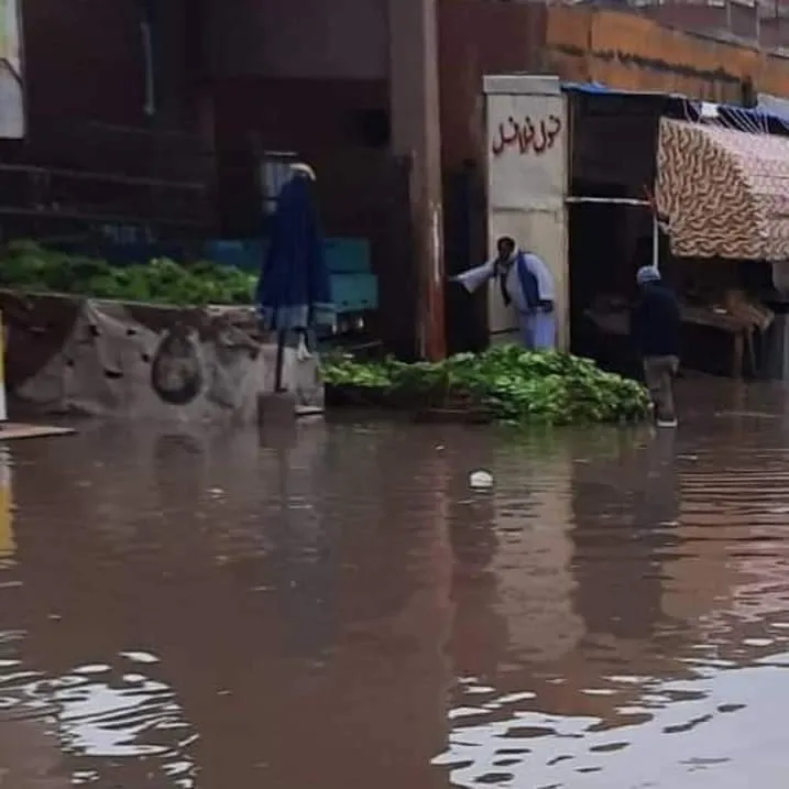 جانب من الحدث