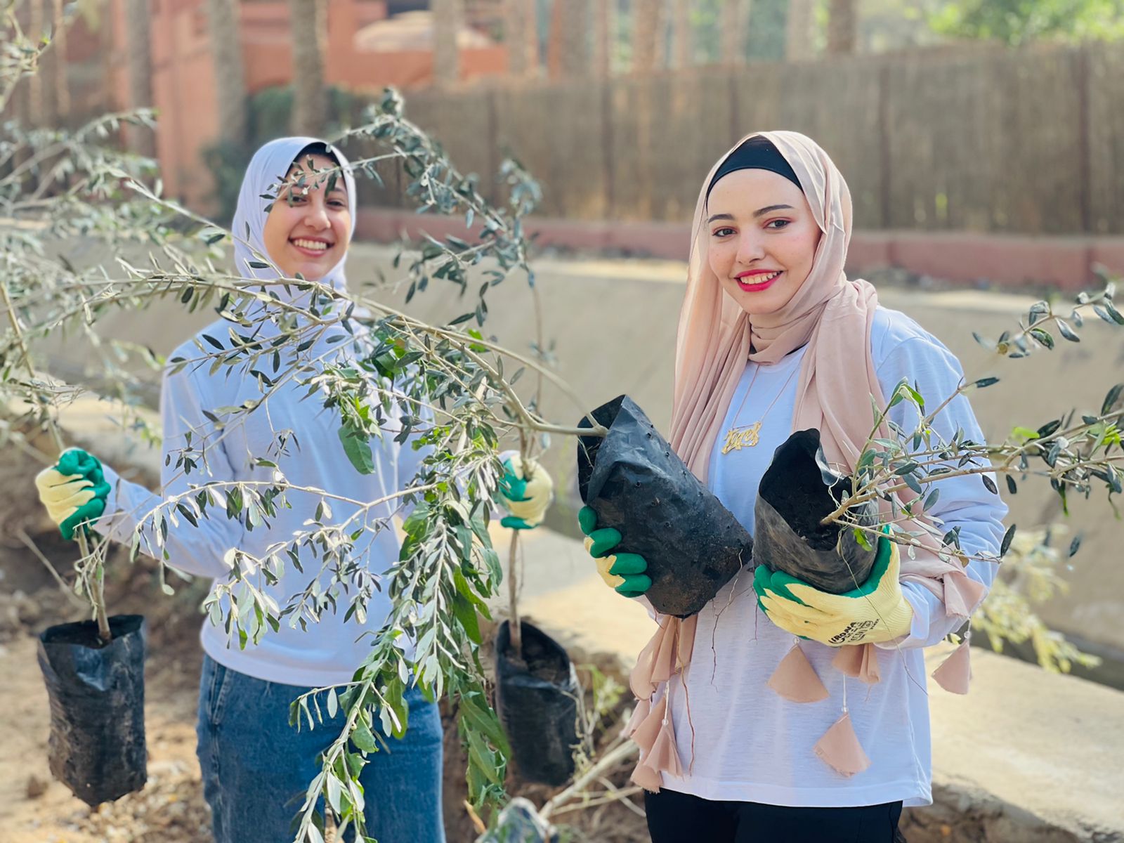 -مشاركات-بحملة-مؤسسة-شباب-بتحب-مصر