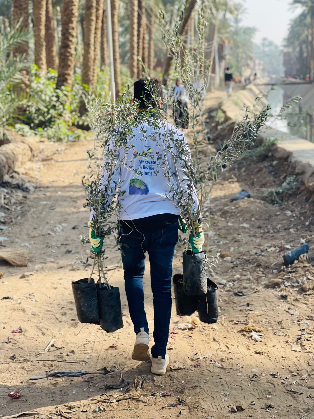 -زراعة-2000-شجرة