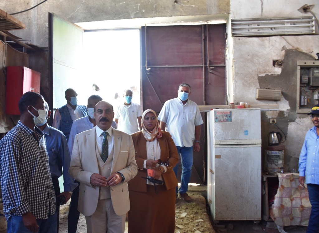 جولة ميدانية لمحافظ أسوان