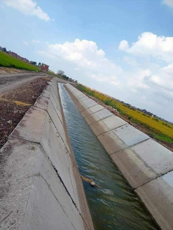 جانب من الترع المؤهلة