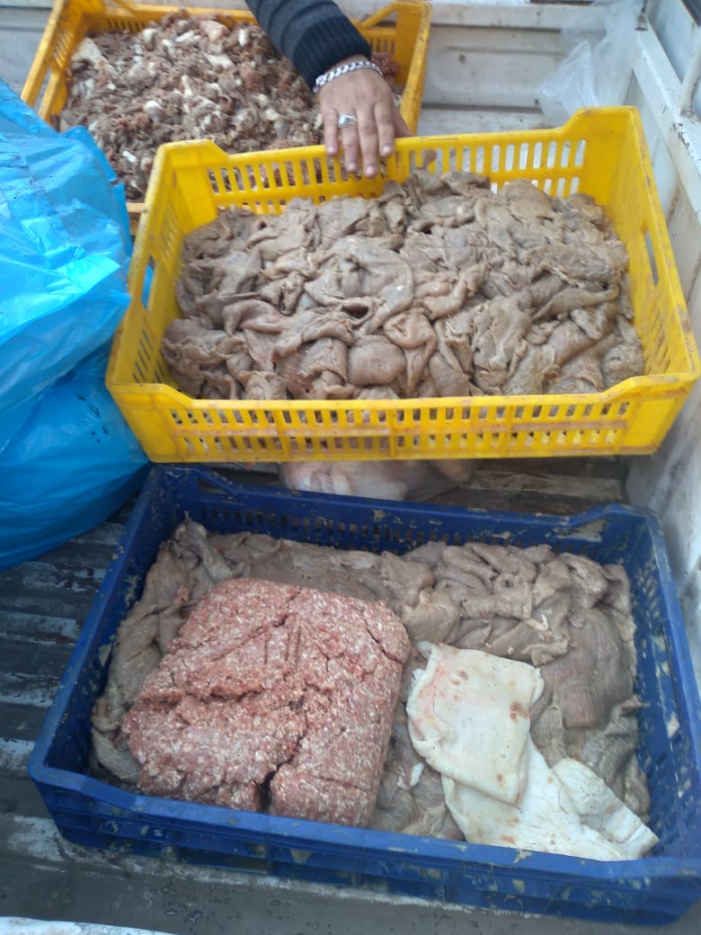 جانب من الحملة 