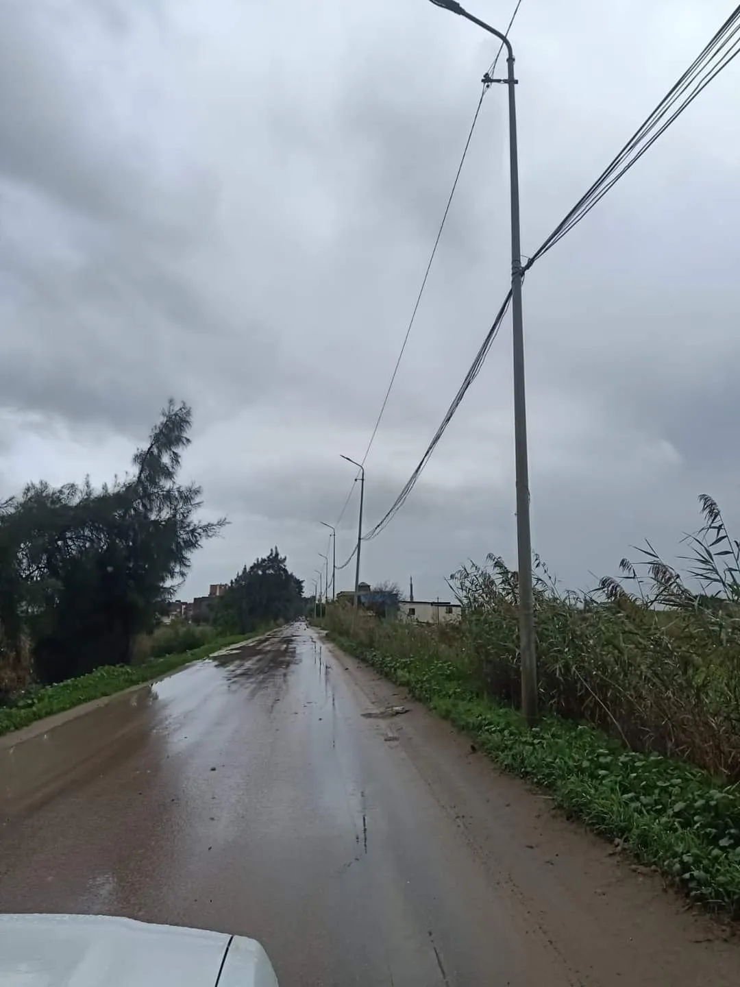 نوة الكرم وعملية رفع مياه الأمطار