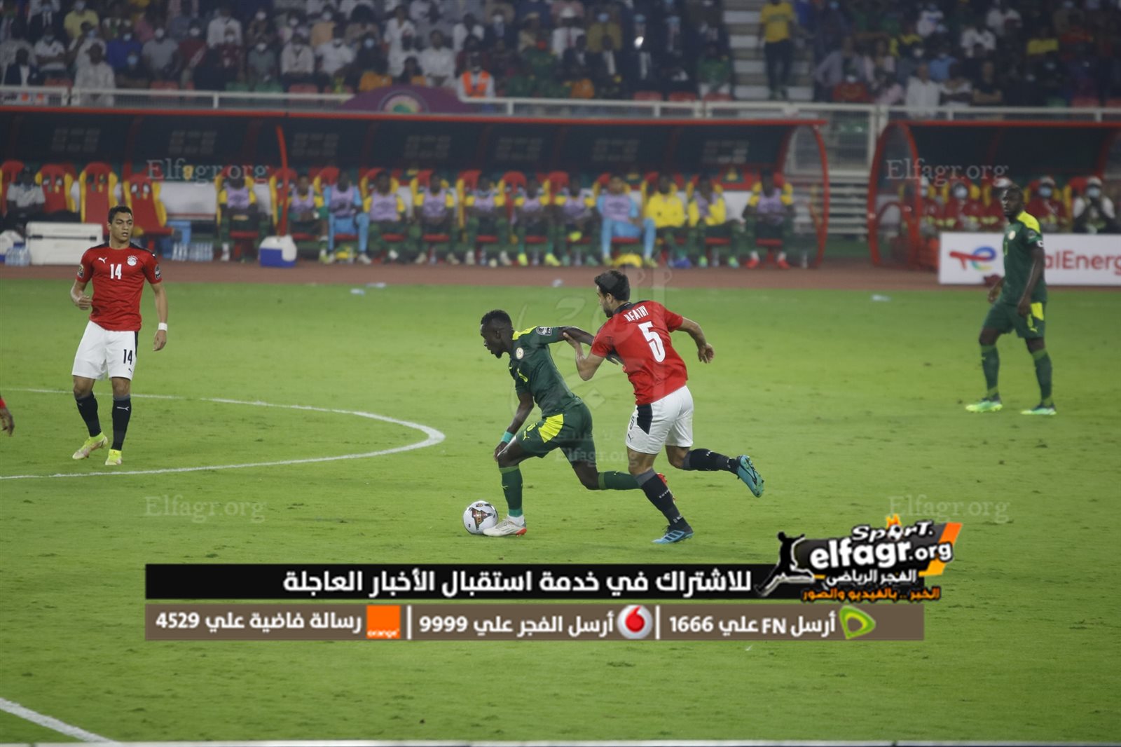 273530064_4776911485724832_9214234547523955334_n