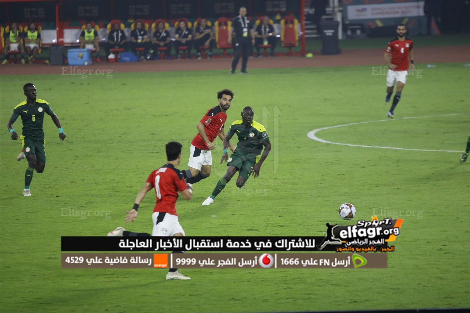 273524522_4776911889058125_6755476701601406446_n