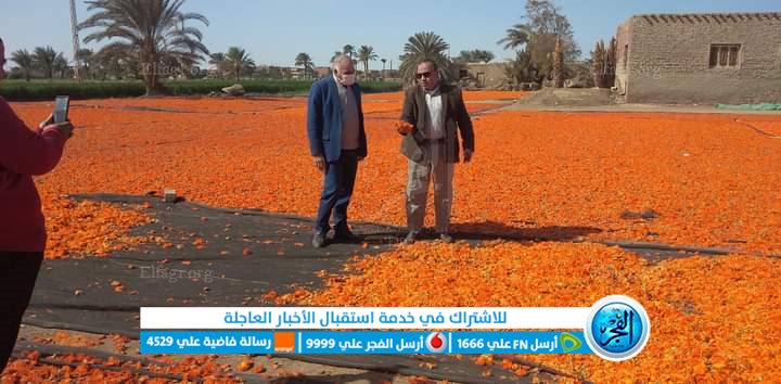 جولة لوكيل زراعة الفيوم على الجمعيات الزراعية