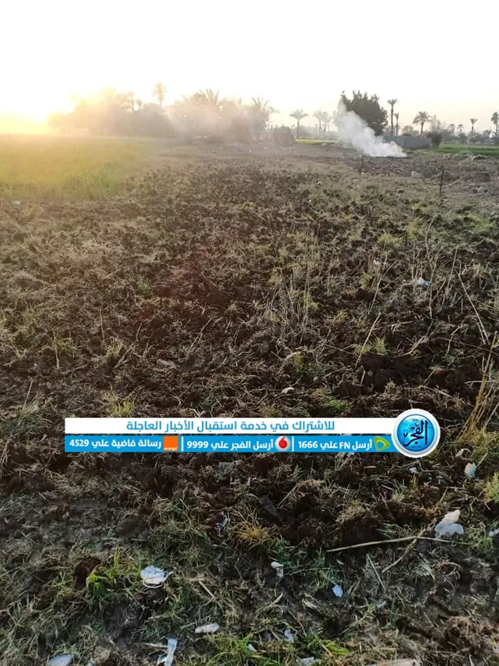 إعادة زراعة الأراضي الزراعية بالفيوم