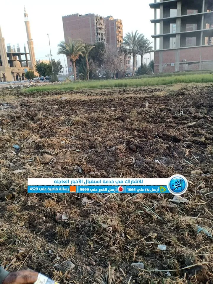 إعادة زراعة الأراضي الزراعية بالفيوم