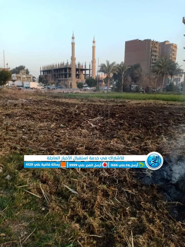 إعادة زراعة الأراضي الزراعية بالفيوم