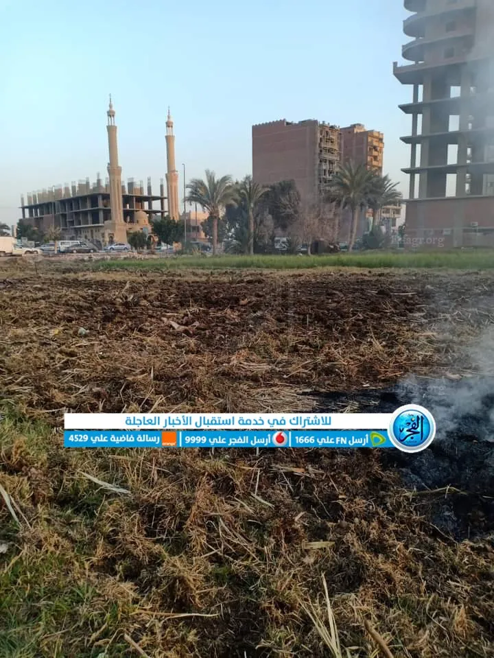 إعادة زراعة الأراضي الزراعية بالفيوم