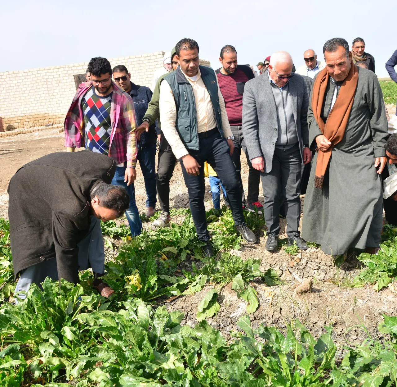لقاء محافظ بورسعيد مزارعين بمنطقة سهل الطينة شرق المحافظة 