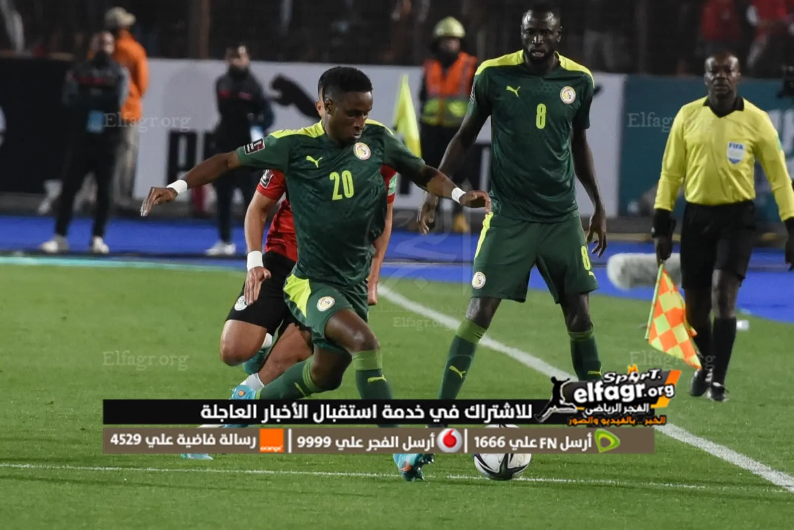 مصر والسنغال