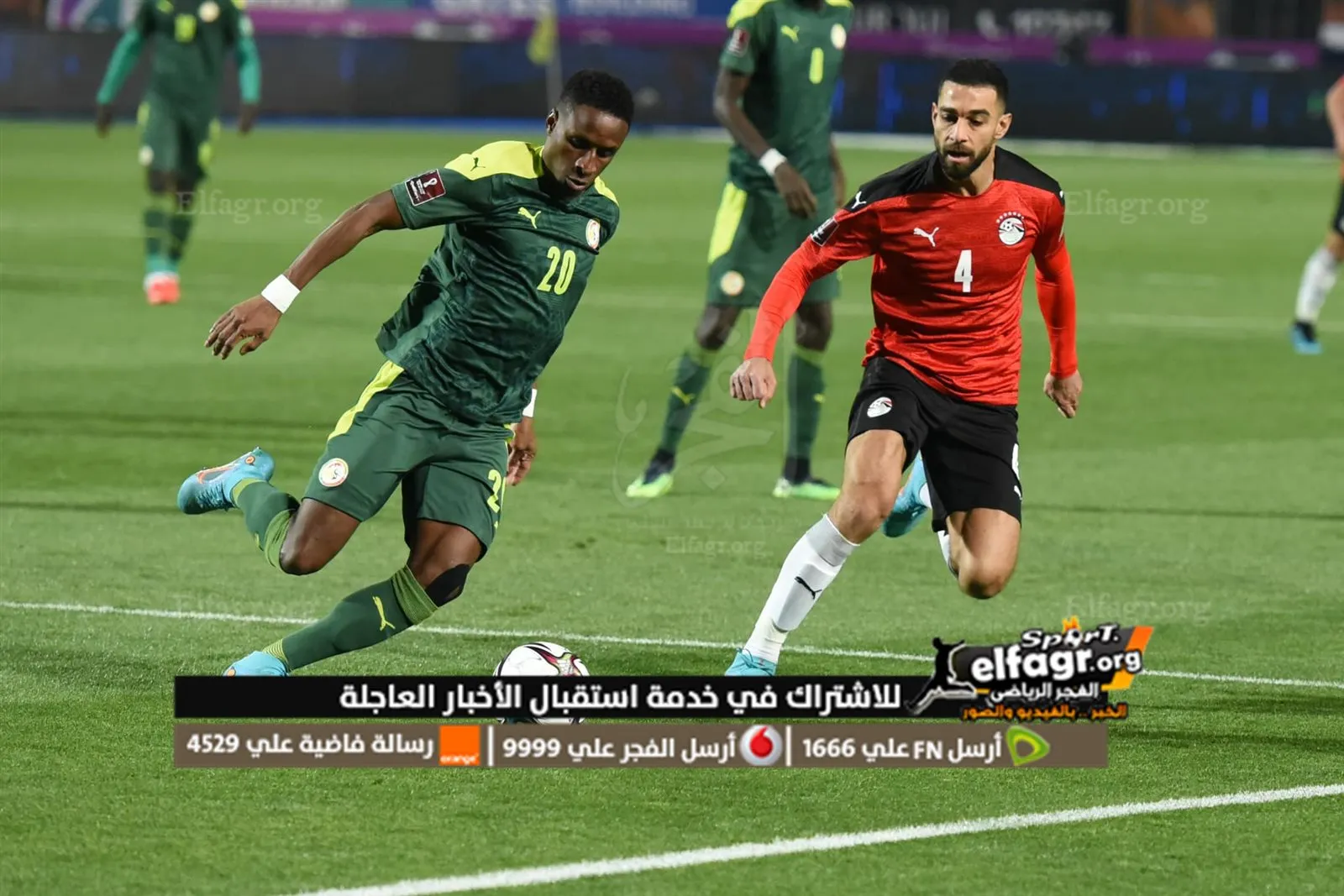 مصر والسنغال