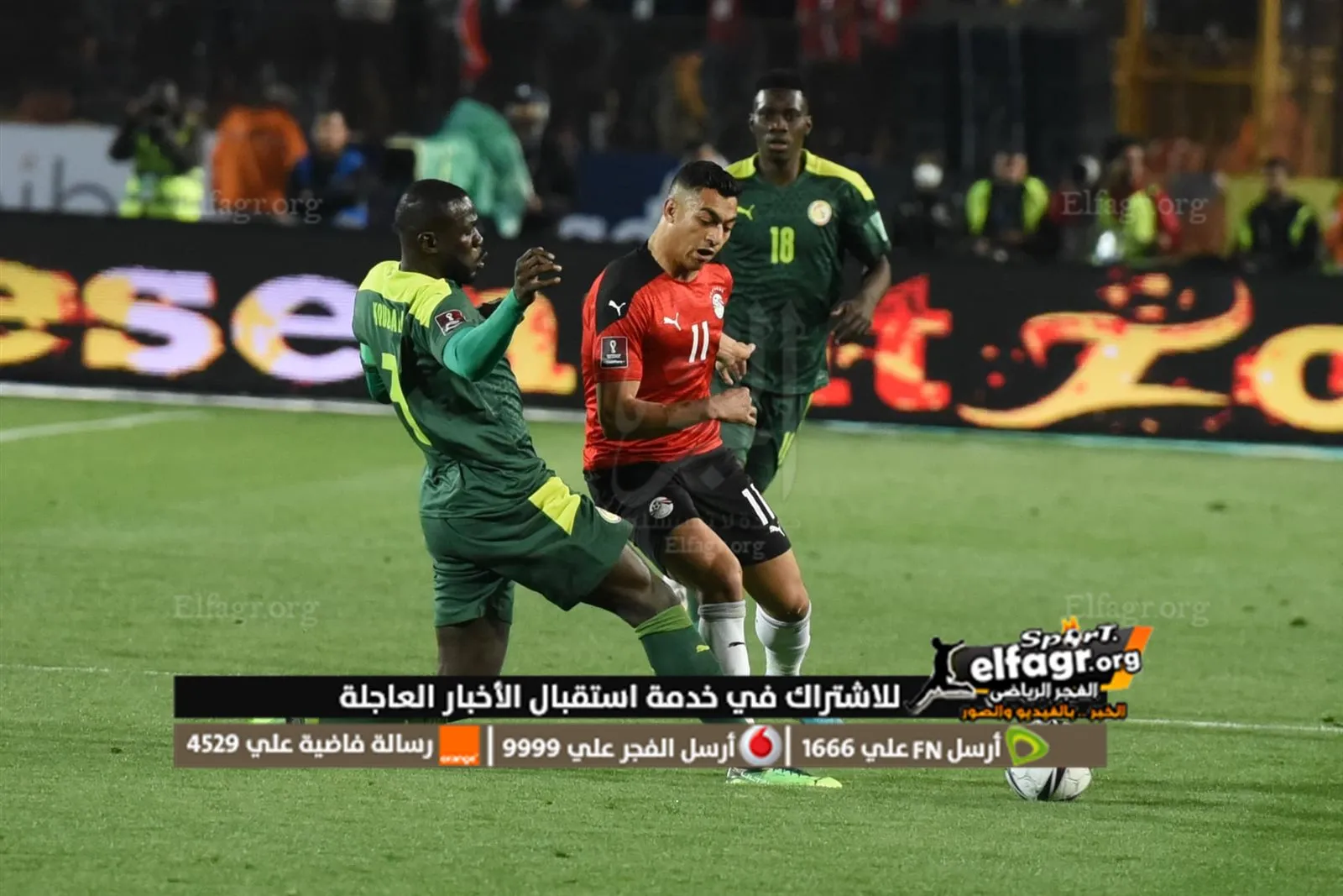 مصر والسنغال