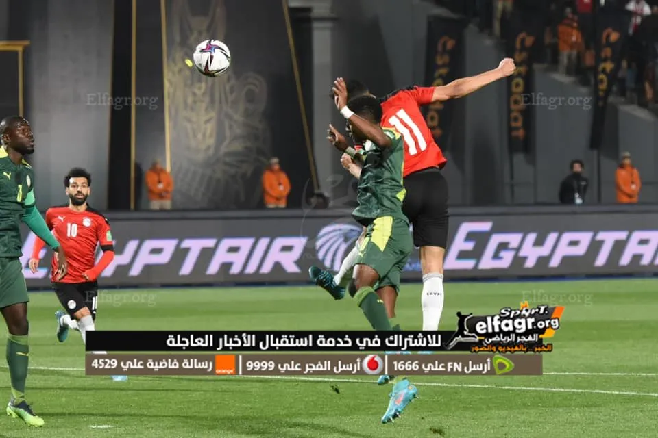 مصر والسنغال