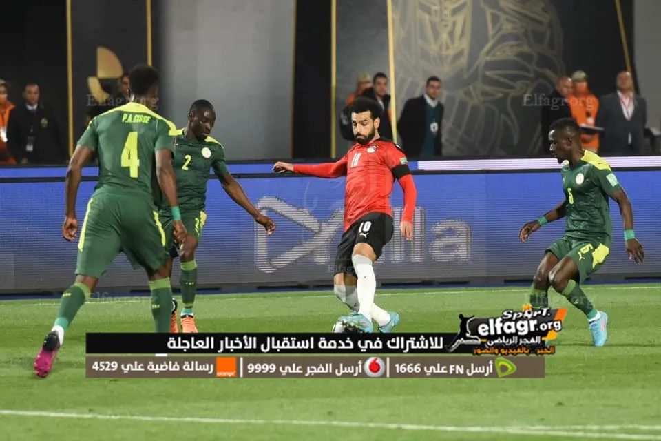 مصر والسنغال