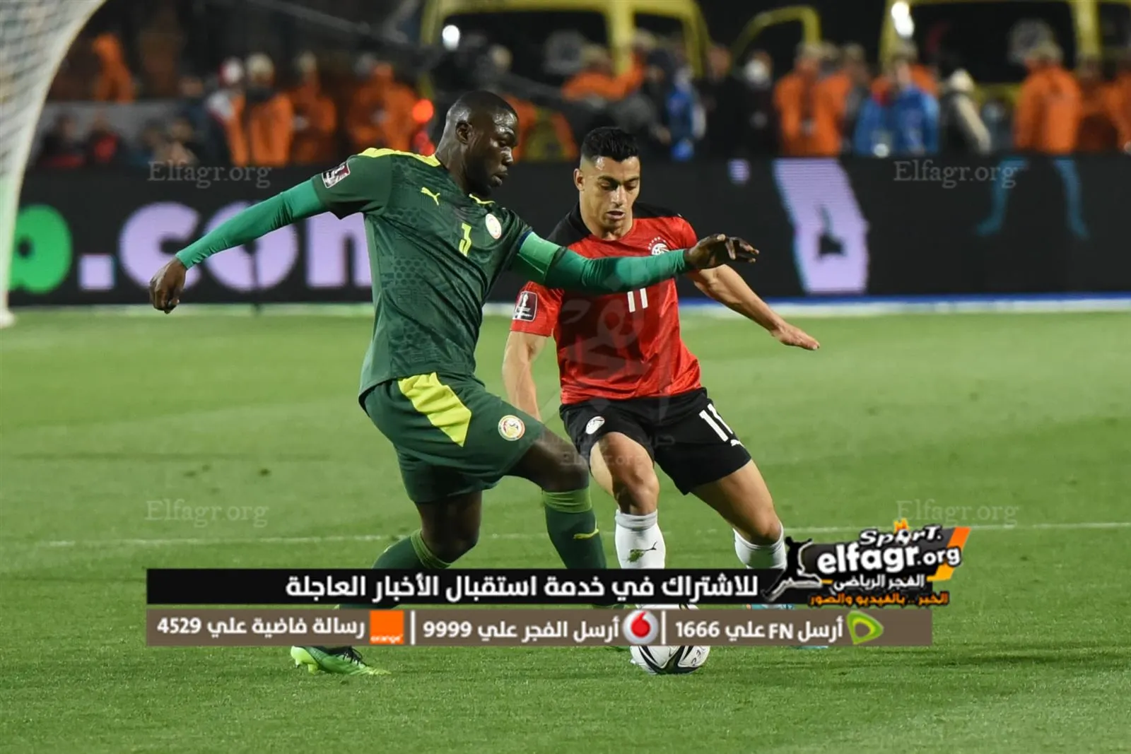 مصر والسنغال