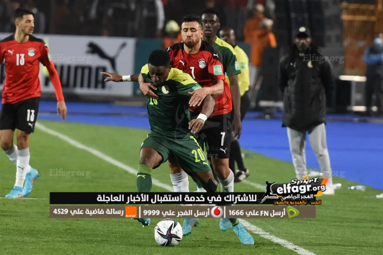 مصر والسنغال