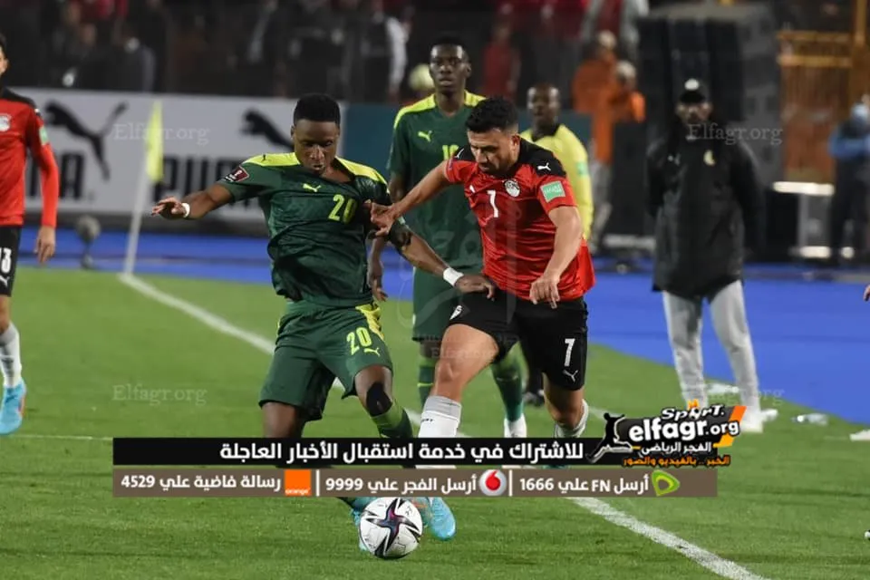 مصر والسنغال