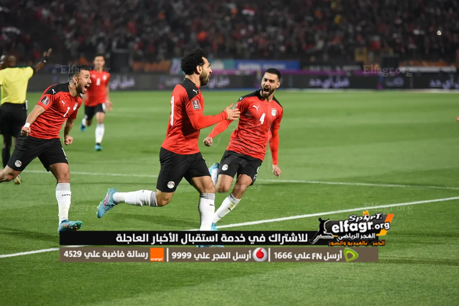 مصر والسنغال