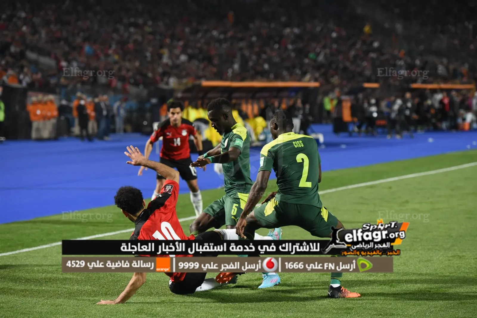 277353790_5028067263926663_723689021323463168_n