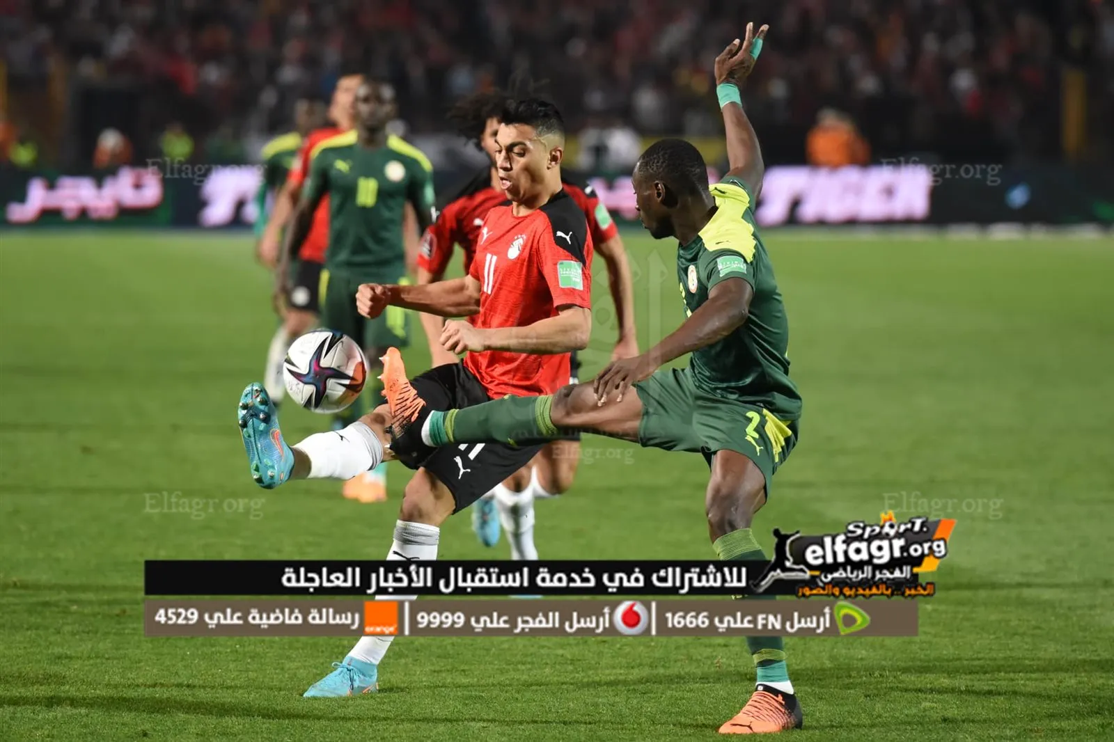 276120896_5028068447259878_5724529800745152794_n