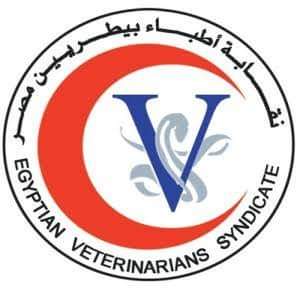 FB_IMG_1648544716687