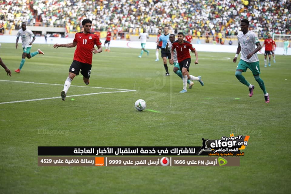 مصر والسنغال