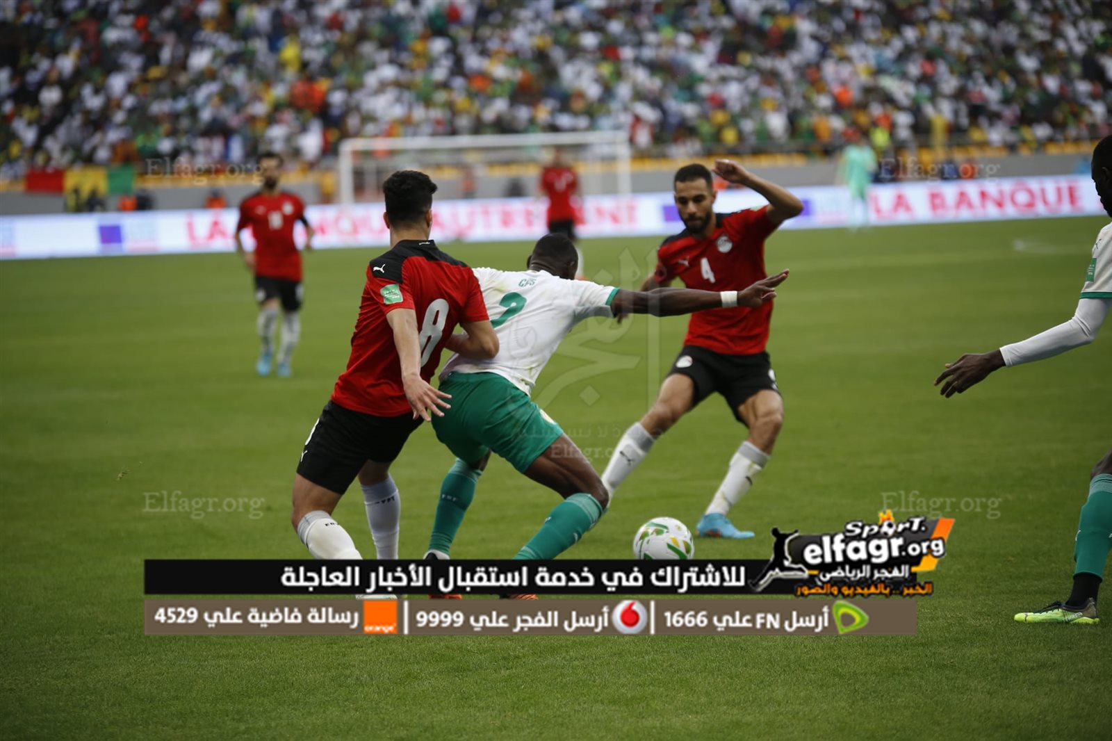 مصر والسنغال