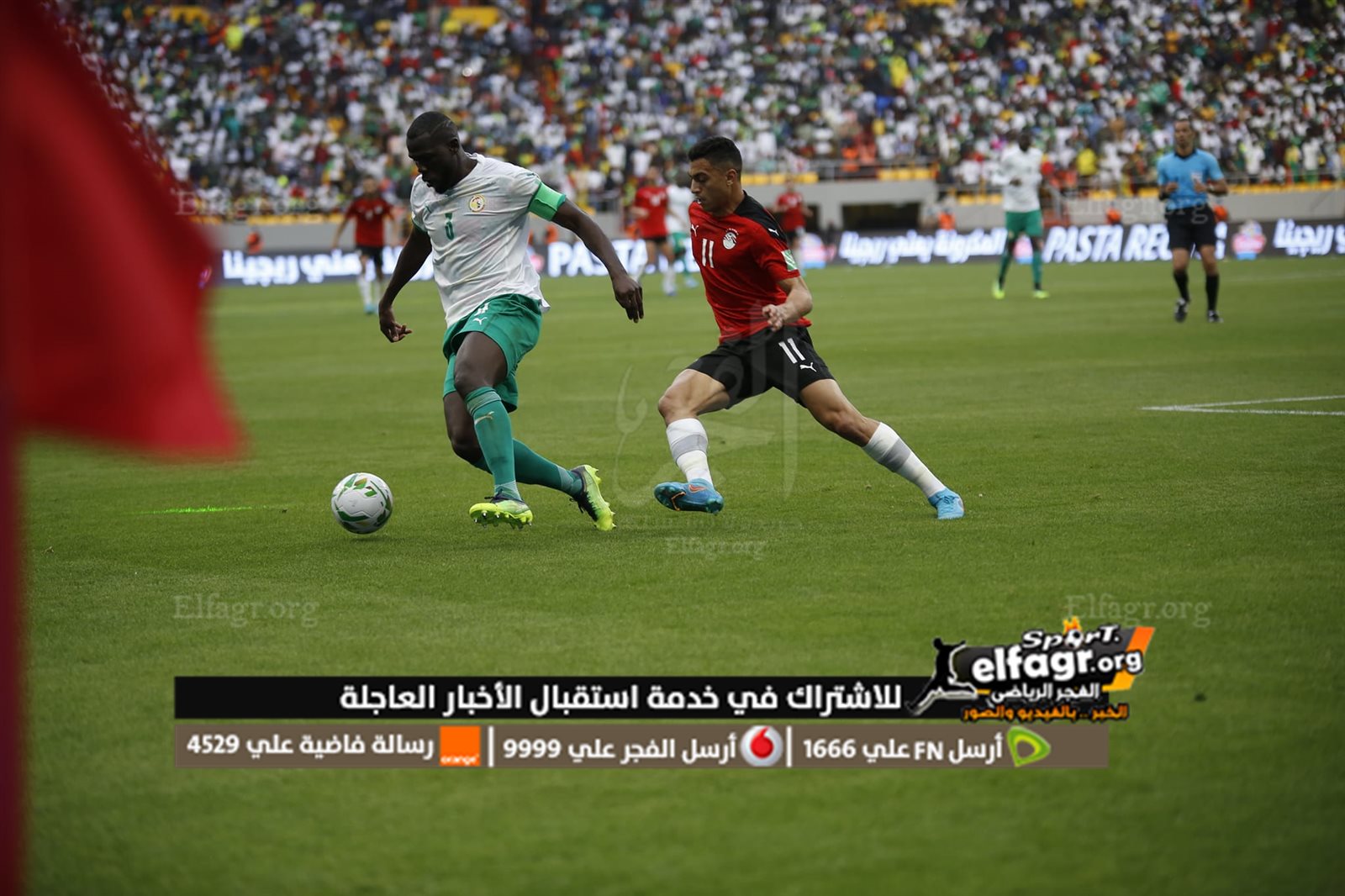 مصر والسنغال