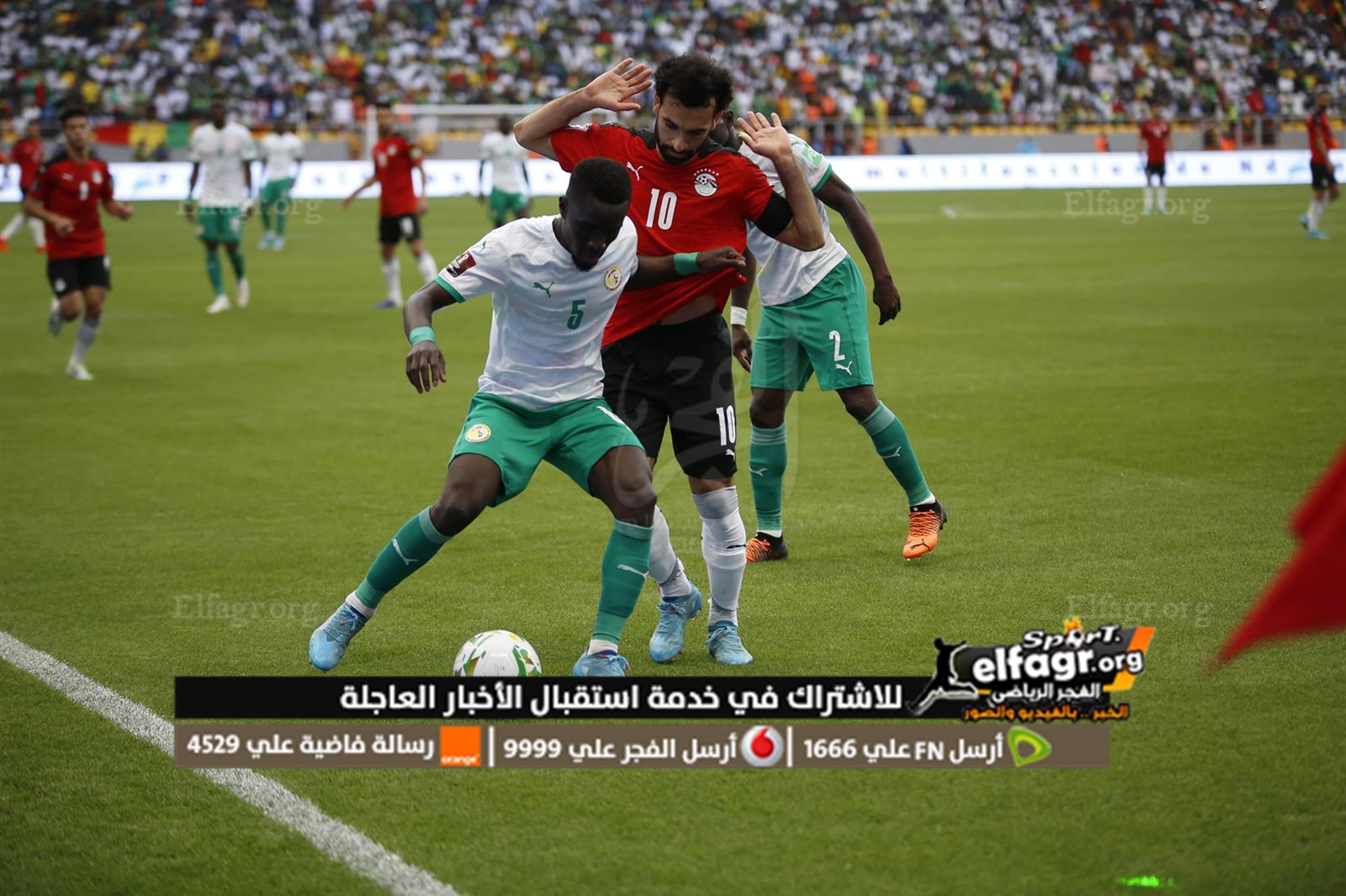 مصر والسنغال