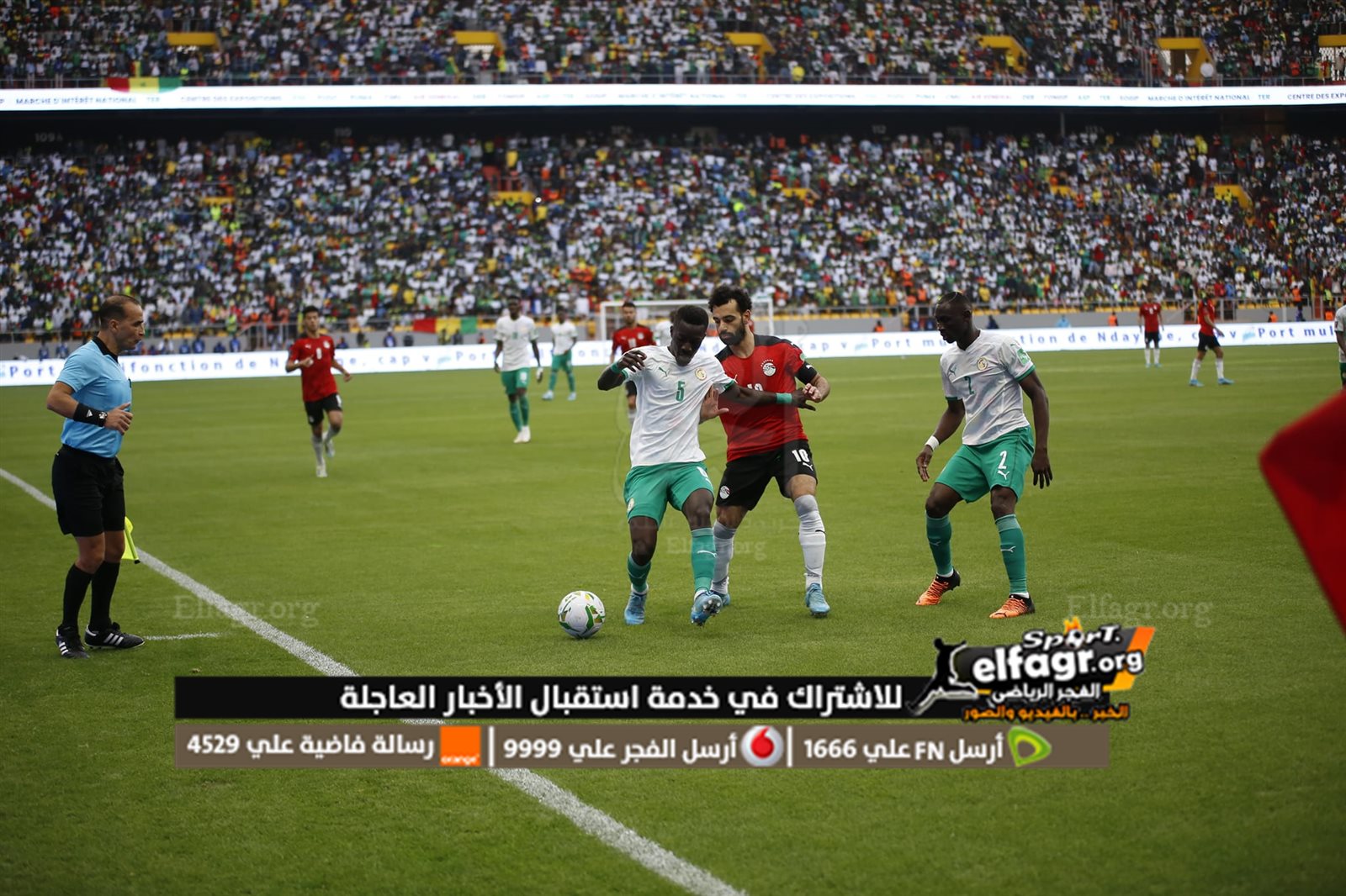 مصر والسنغال