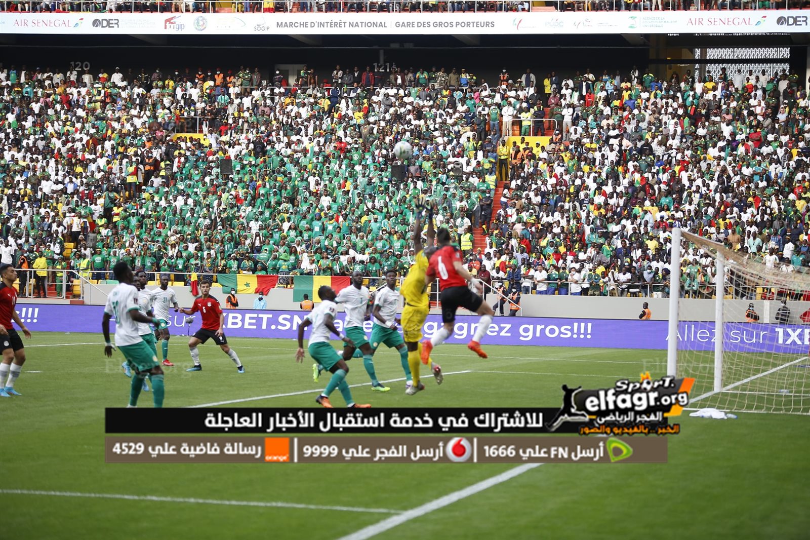 مصر والسنغال