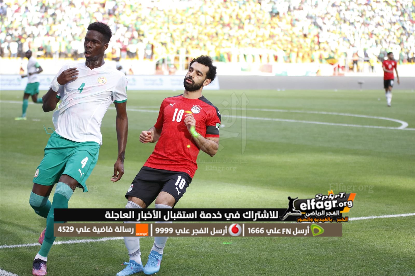 مصر والسنغال