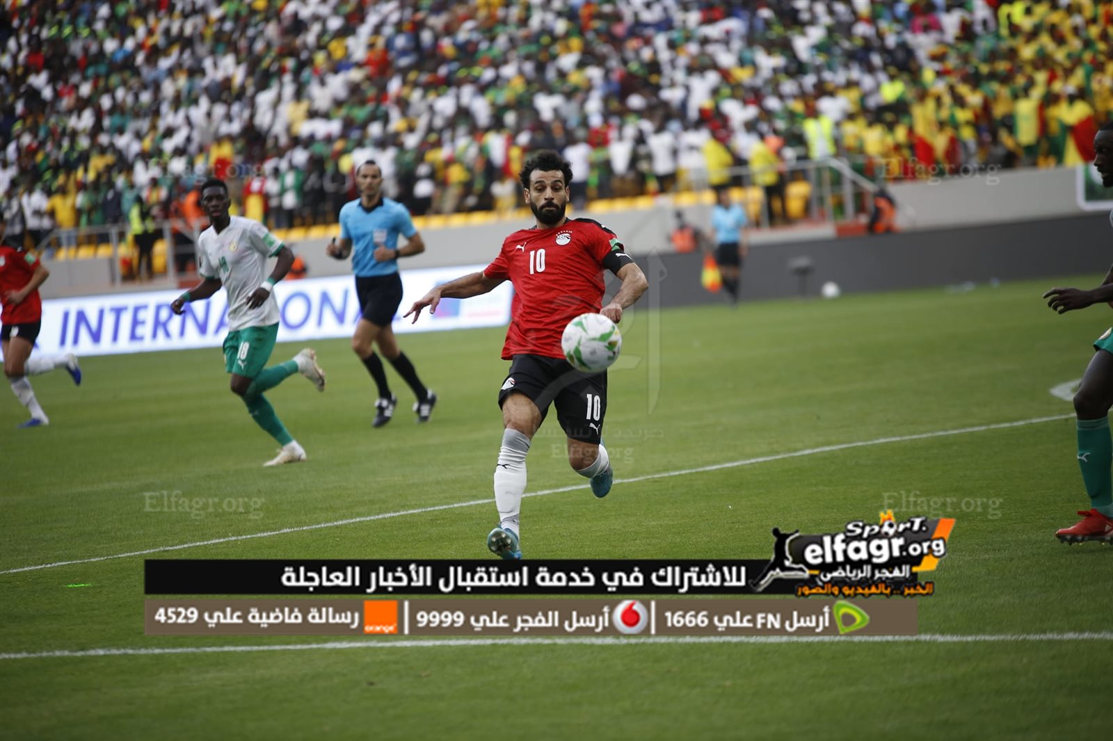 277657819_4921333574615955_6287253242531230501_n