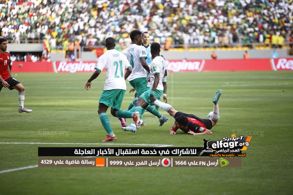 277660125_4921326594616653_2508676560711504971_n