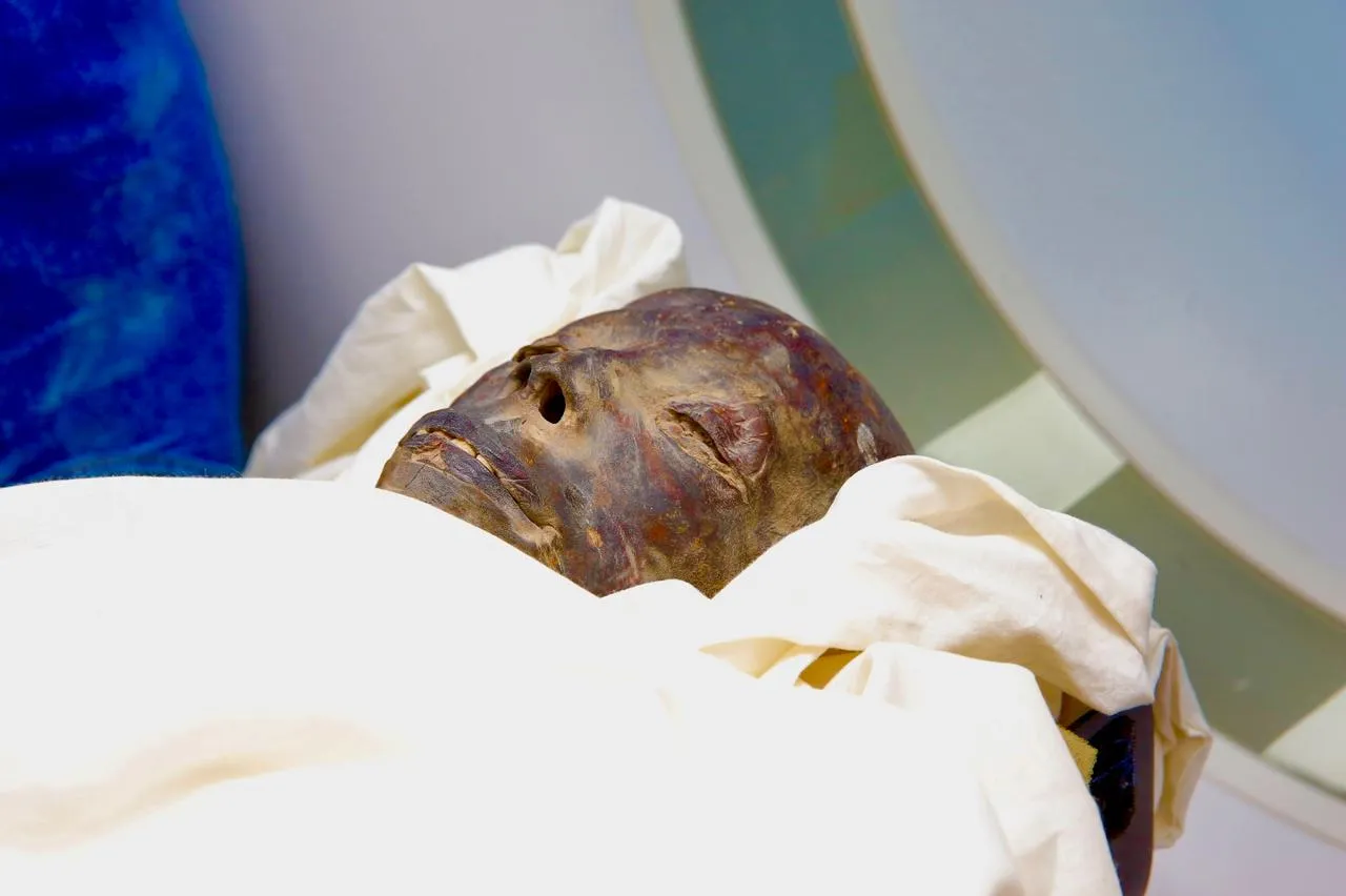 جانب من الحدث