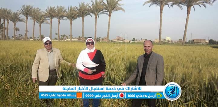 وكيل زراعة الفيوم يوجه نصائح مهمة للمزارعين 