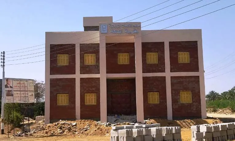 محافظ أسوان يتابع استلام وتخزين محصول القمح بالمطاحن والصوامع