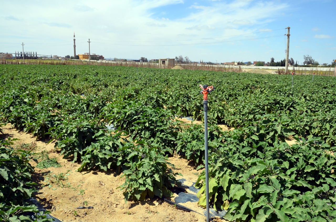 3D2C9971-5924-42F1-B961-7EEE838CA881