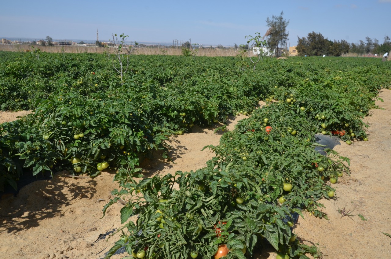 0294667E-ACB4-4604-A32F-6BB70AC9F6A6